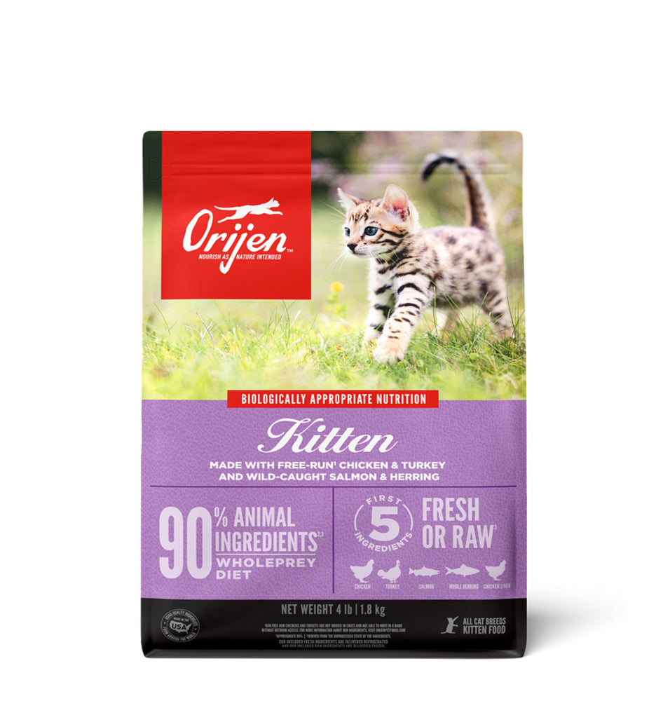 Orijen Kitten