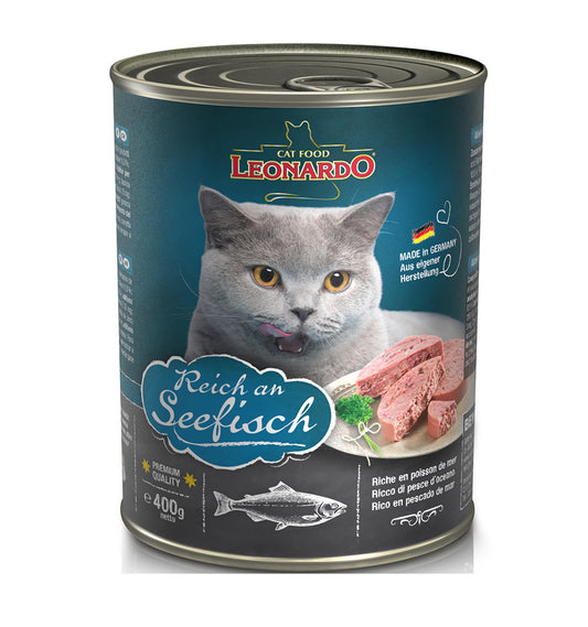 Leonardo Lata Seefisch