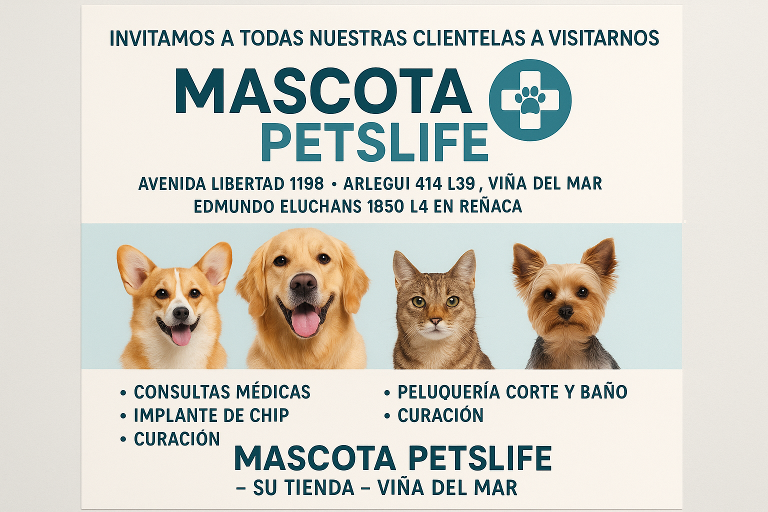 invitamos a todas nuestras clientelas a visitarnos, avenida libertad 1198, arlegui 414 l39, viña del mar, edmundo eluchans 1850 l4 en reñaca, consultas medicas, implante de chic, curacion, cortes de pelo para mascotas perros, peluqueria corte y baño. mascota petslife su tienda. viña del mar. los imagenes que sean reales mascotas