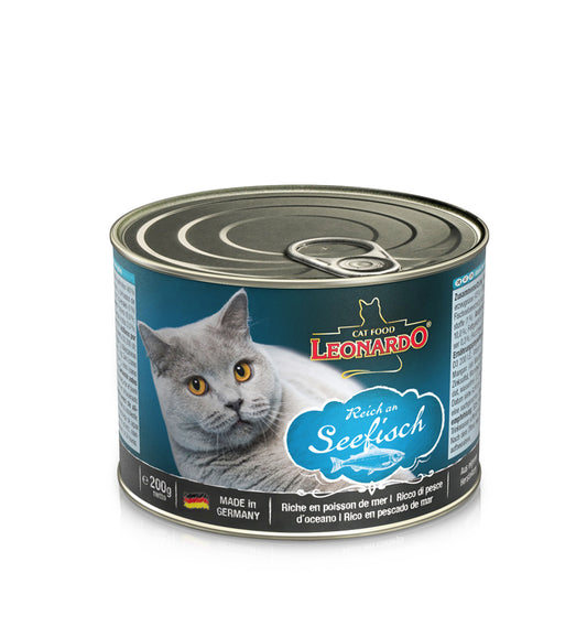 Leonardo Lata Seefisch