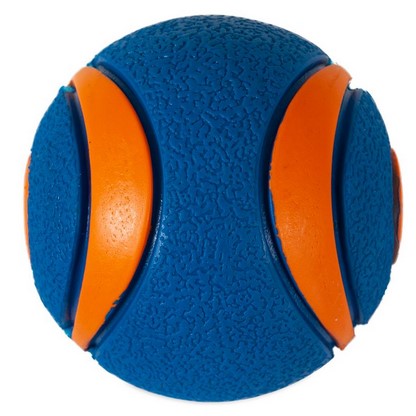 Pelota Chuckit! Ultra Squeaker para perros