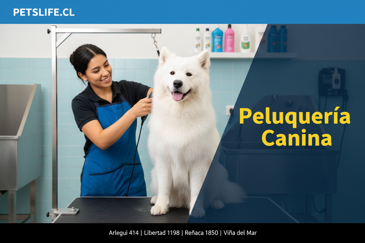 peluqueria