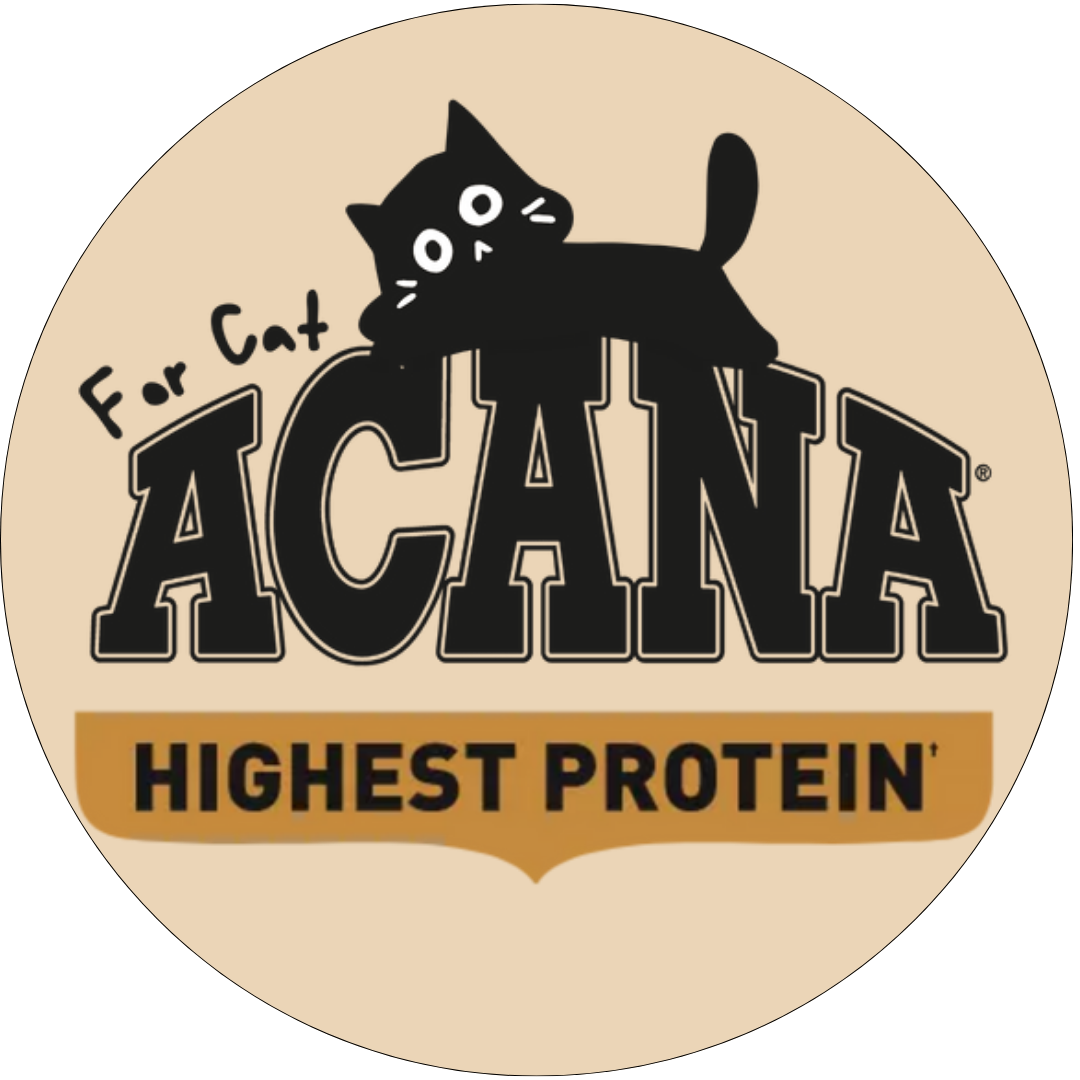 Alimentos Bravery Perros