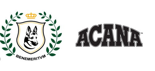 Alimentos Bravery Perros