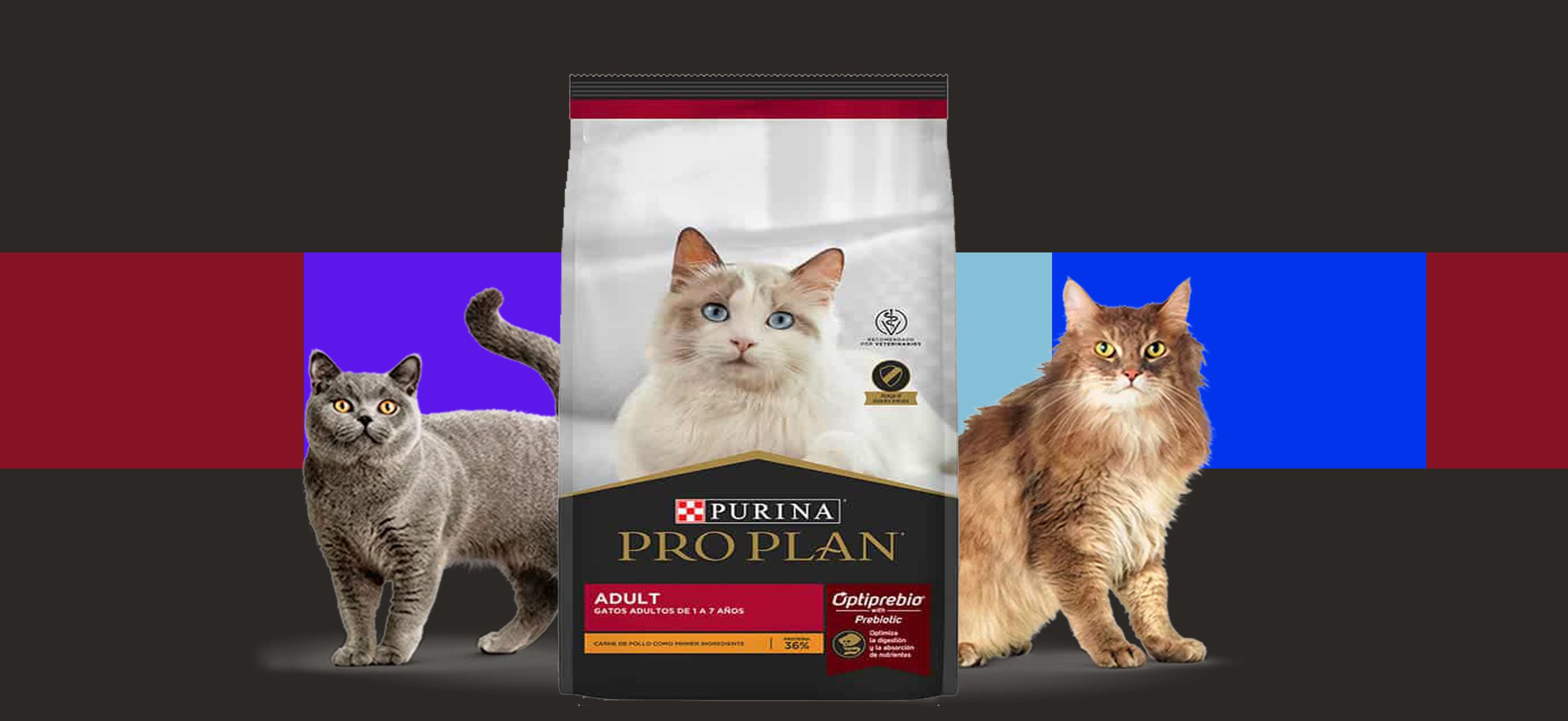 Proplan Gatos