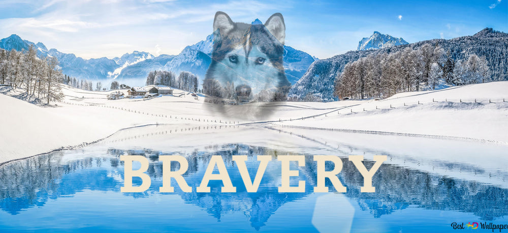 Bravery Dog