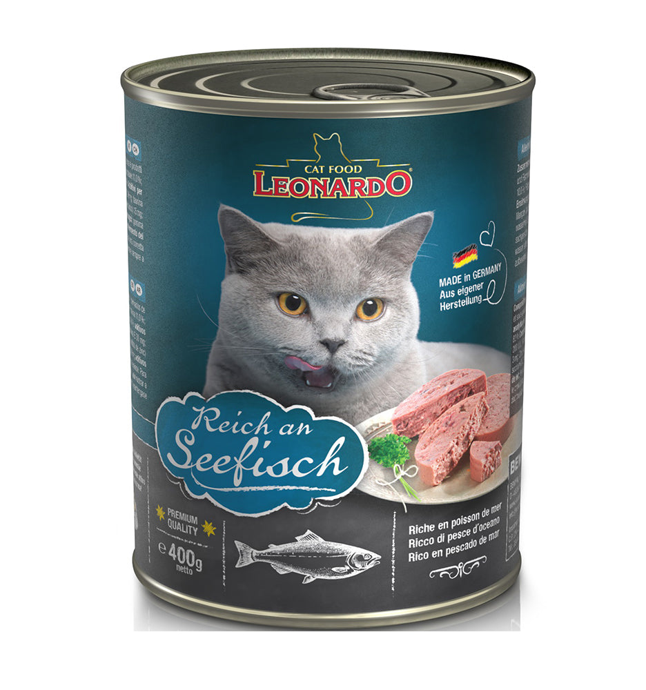 Leonardo Lata Seefisch