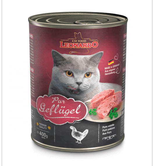 Leonardo Lata's work