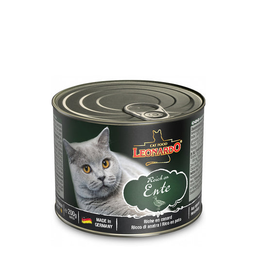 Leonardo Lata Entity