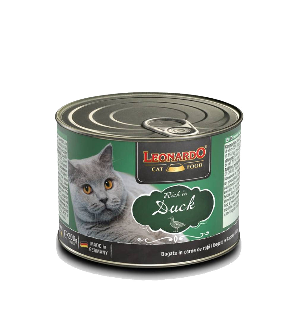 Leonardo Lata Entity 