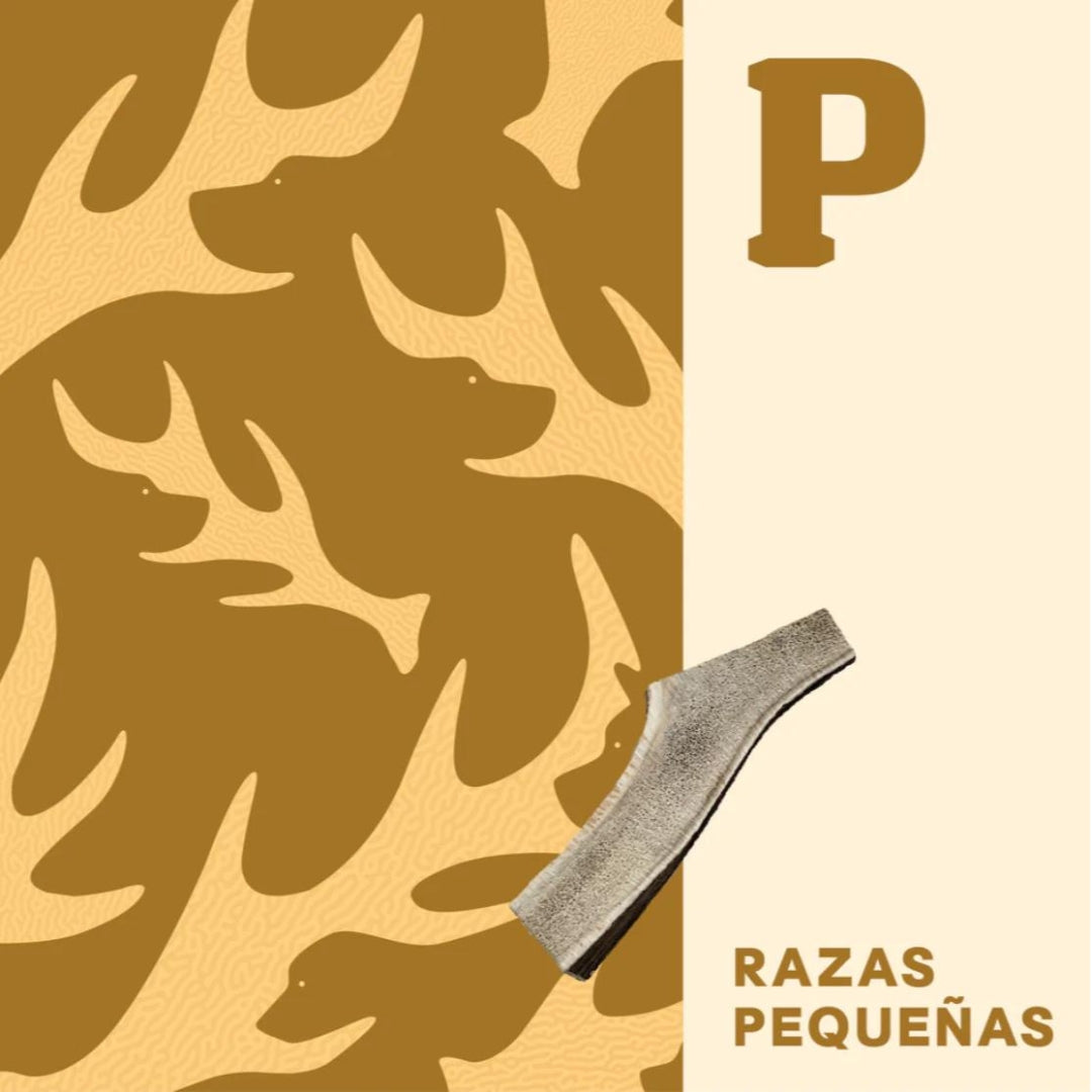 Doggo Asta de Ciervo P