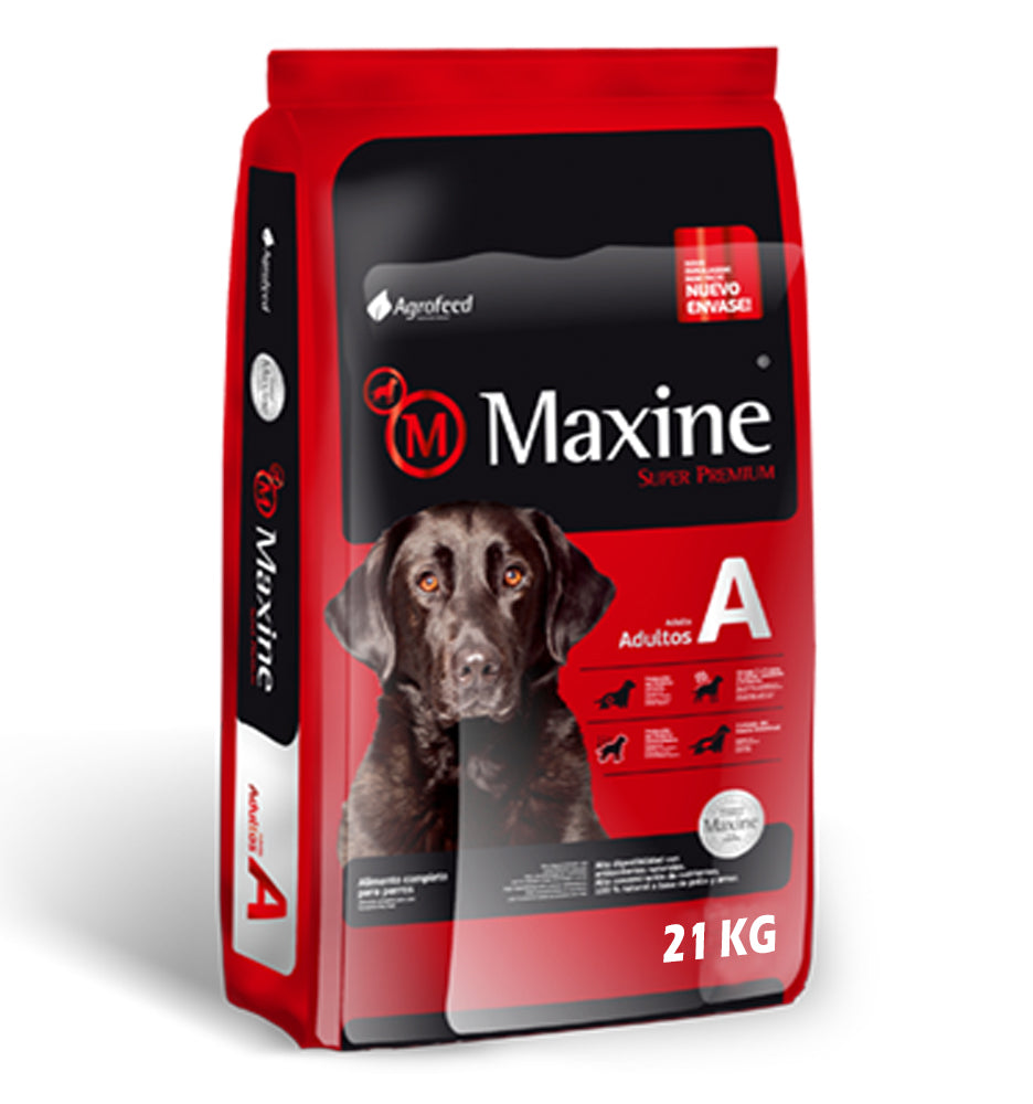 Maxine Dog Adults