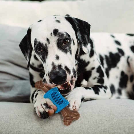 🦴 SPOT Bam-Bones Plus – Hueso Masticable con Centro Masajeador Sabor Tocino