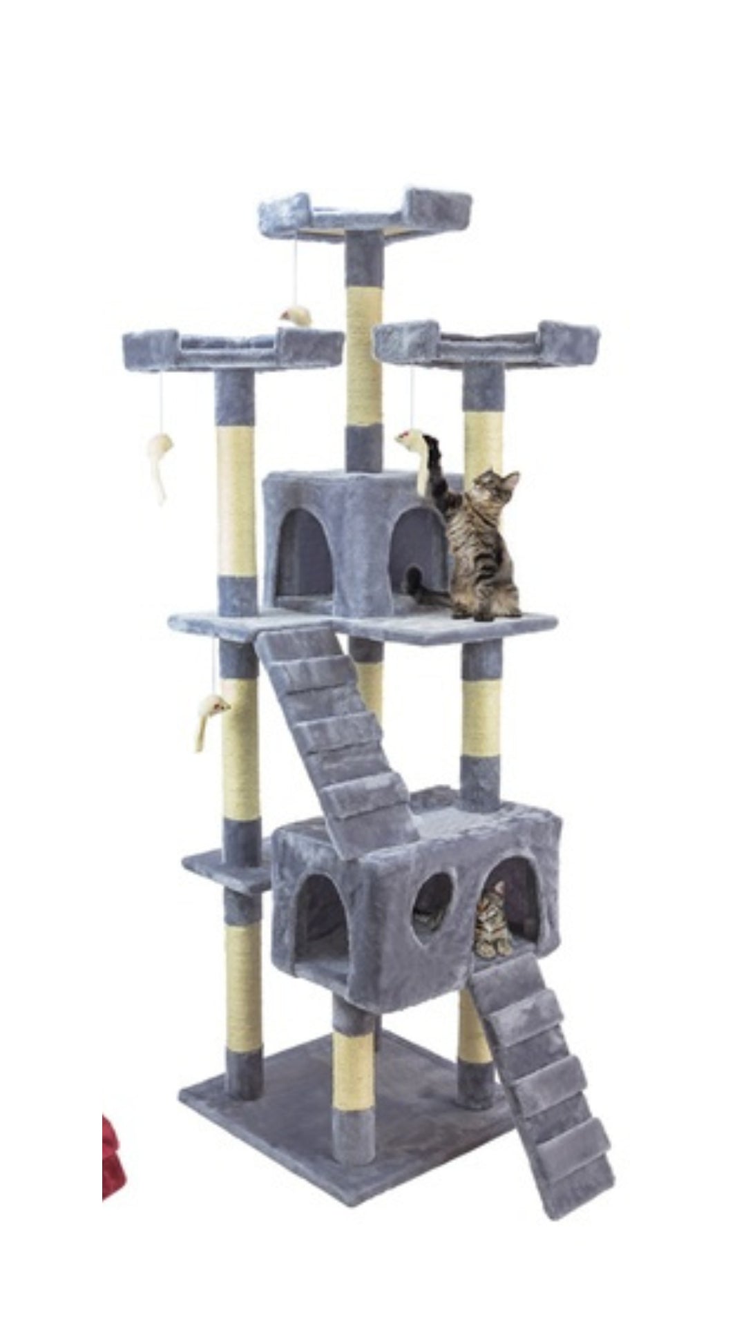 Rascadpr Torre Colosal