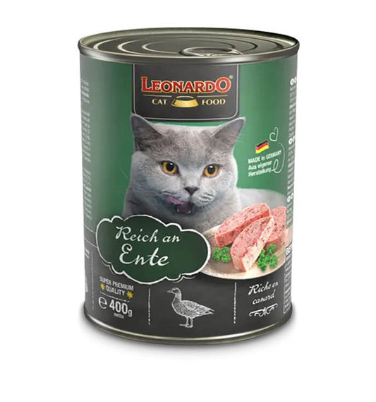 Leonardo Lata Entity