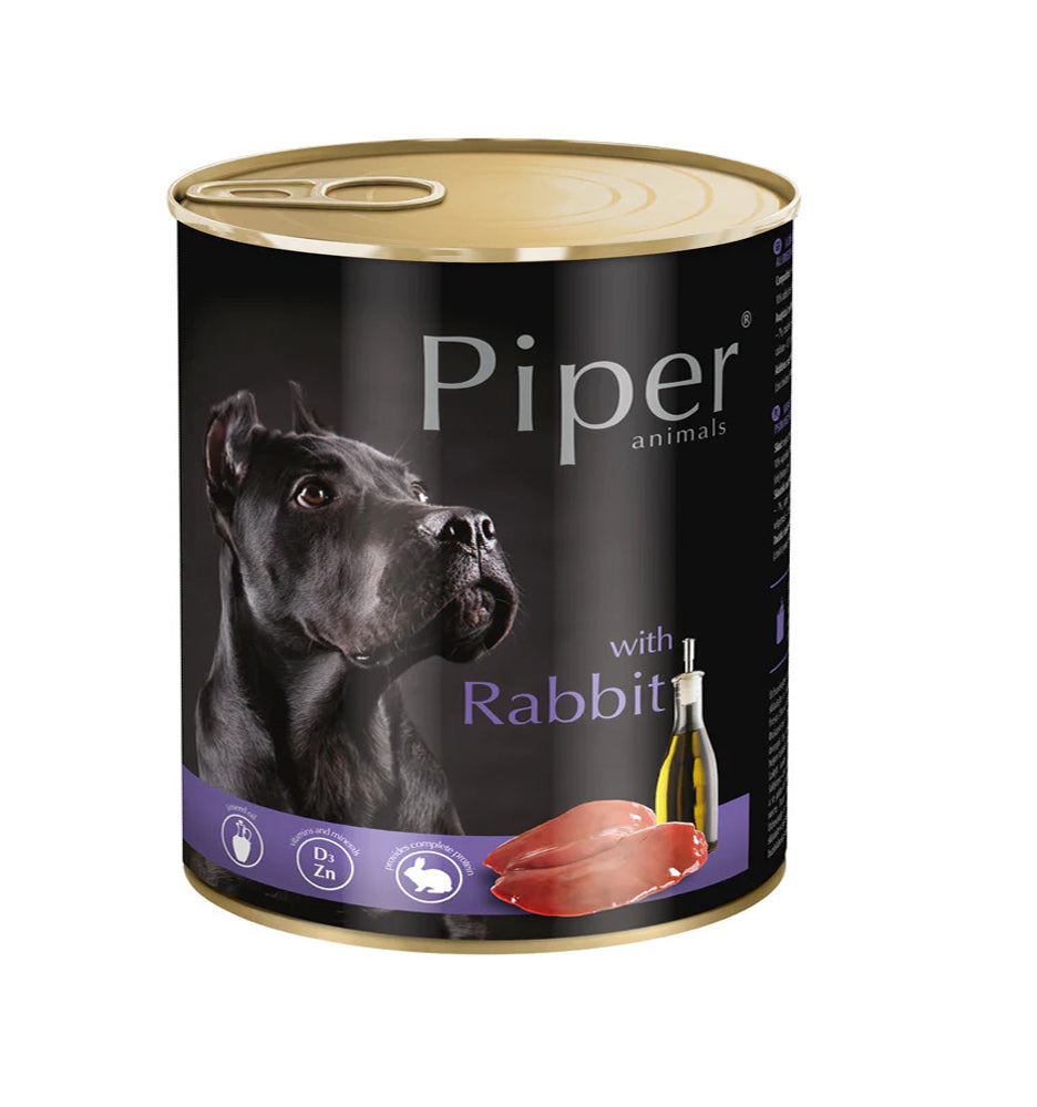 Piper With Rabbit – petslife