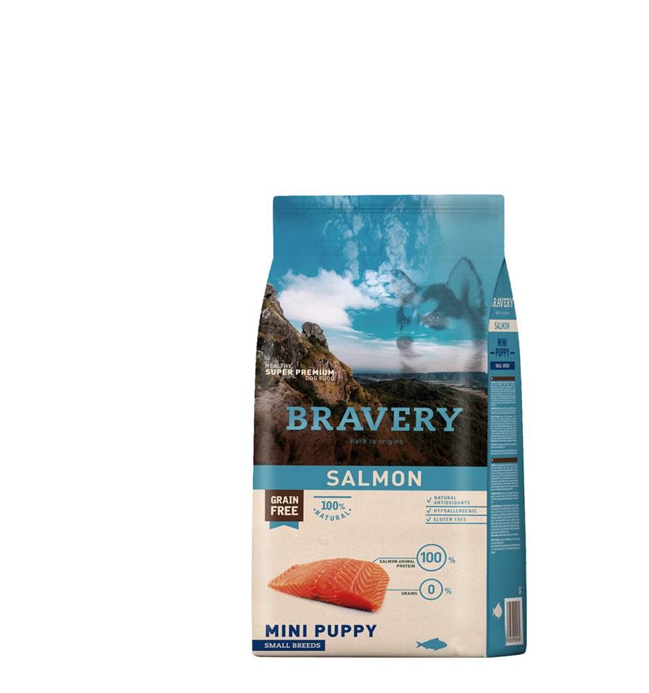 Bravery Salmon Mini Puppy Small