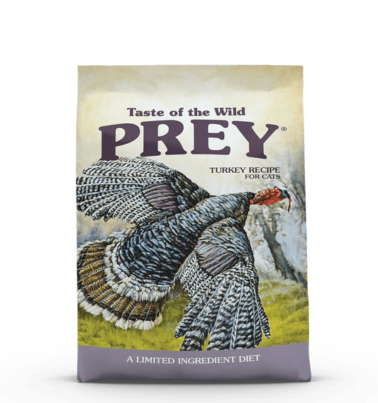 Prey Turkey Cat